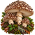 Мухомор Пантерний