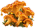 ЛИСОМЕД з Лисичкою